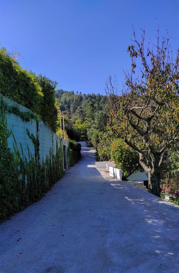 Pera Da Serra - Turismo No Espaco Rural Villa Lousa  Exterior photo